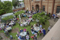 Mary MacKillop Garden Party_366117.jpg