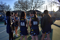 Netball.jpg