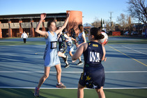 Netball 2 copy.jpg